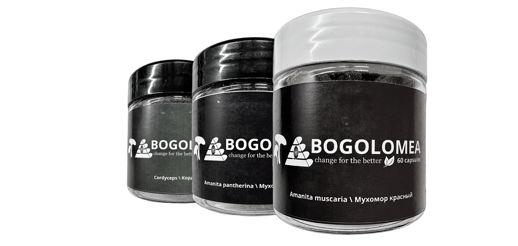 Продукция Bogolomea